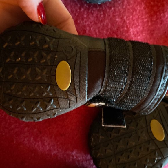 4- Qumy Boots for Dogs - Picture 4 of 7